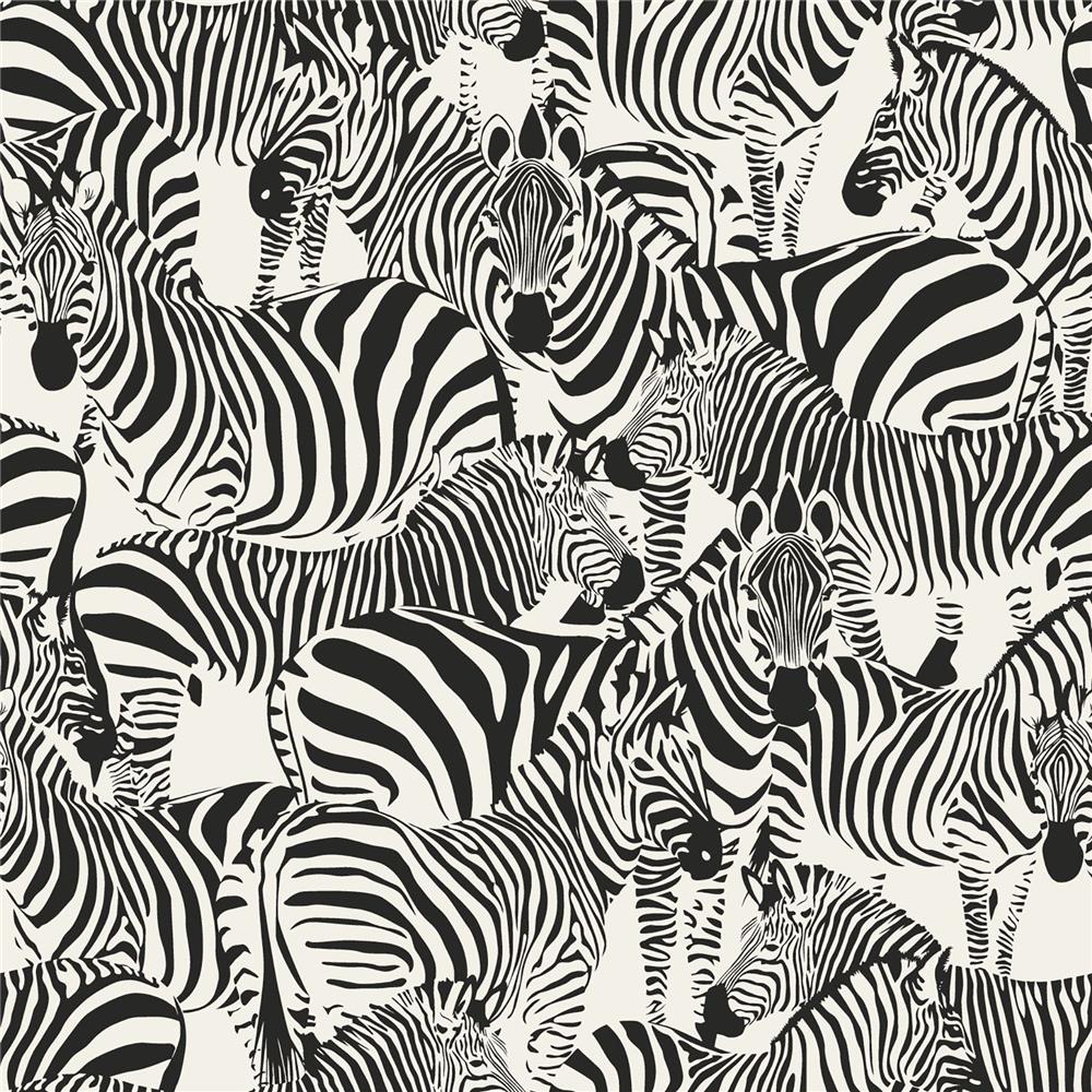 Brewster DD347453 Design Department Jemima Black Zebra Wallpaper