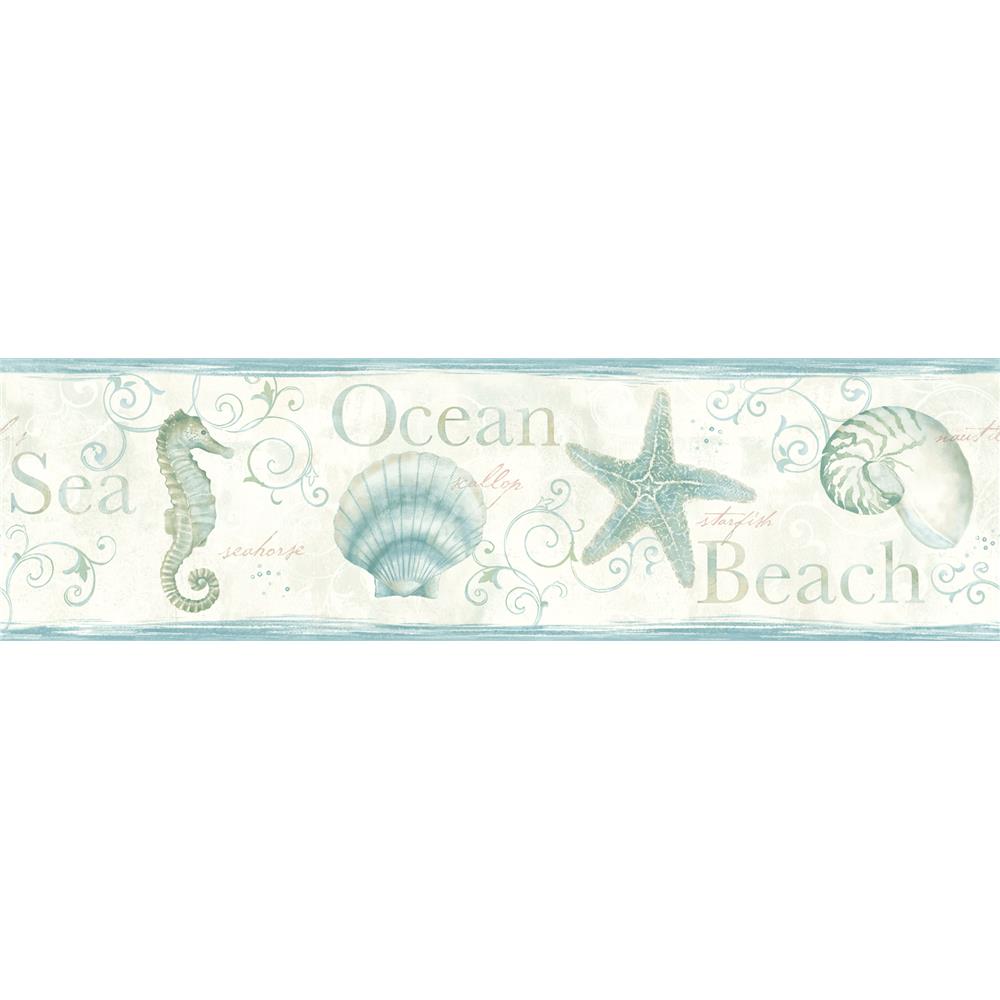 Chesapeake by Brewster DLR53562B Sand Dollar Island Bay Teal Seashells Border Wallpaper in Teal