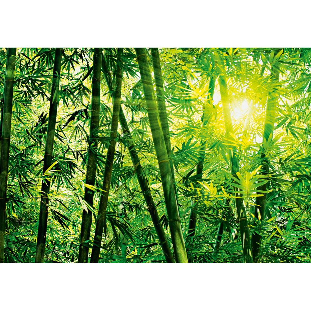 Ideal Décor by Brewster DM123 Bamboo Forest Wall Mural