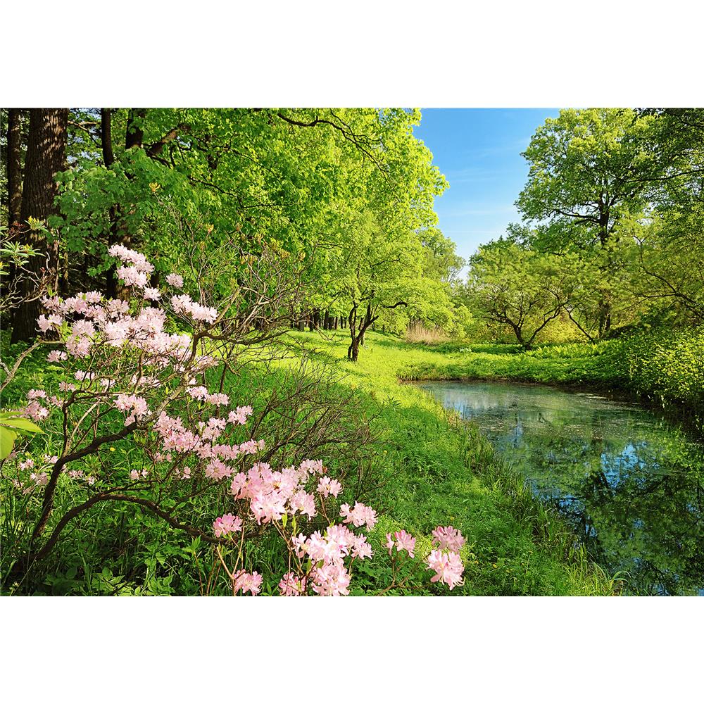 Ideal Décor by Brewster DM136 Park In The Spring Wall Mural