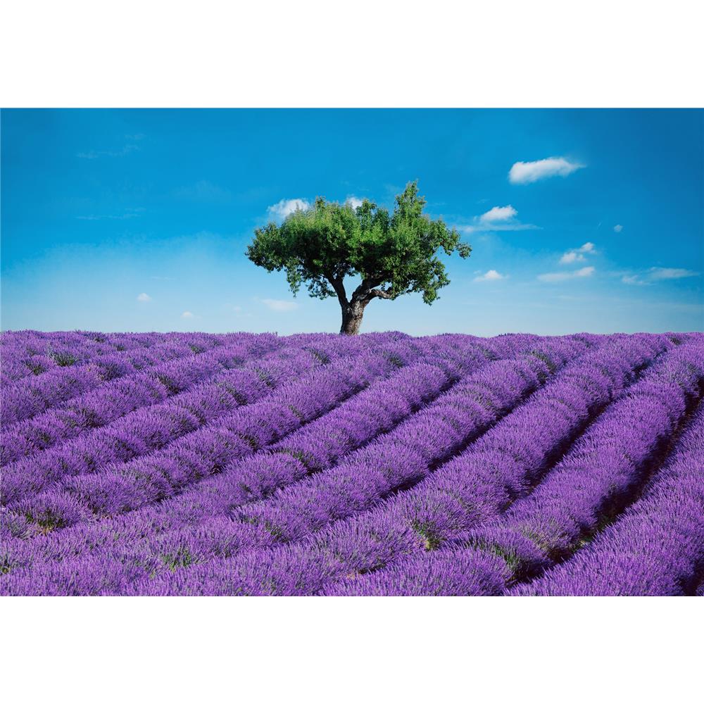 Ideal Décor by Brewster DM144 Provence Wall Mural