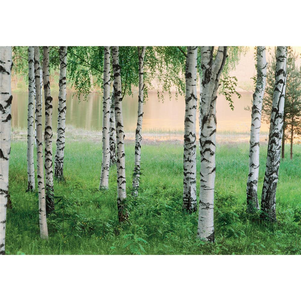 Ideal Décor by Brewster DM290 Nordic Forest Wall Mural