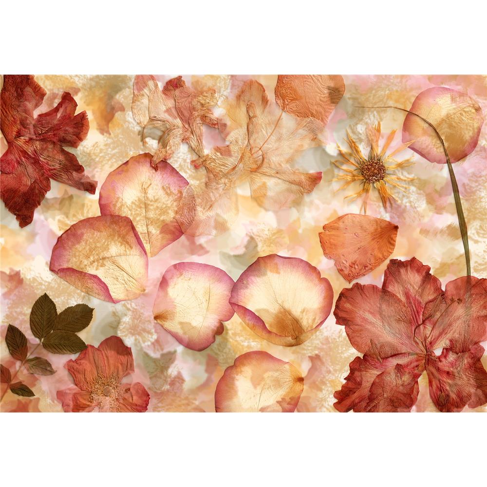 Ideal Décor by Brewster DM963 Dried Flowers Wall Mural
