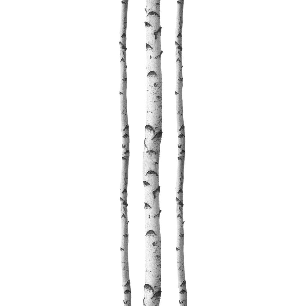 Wallpops by Brewster DWPK2756 Silver Birches Wall Art Kit 