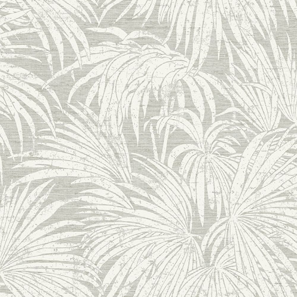 Egypt Sherrod by Brewster ESS6015 Neutral Cassava Palm Peel & Stick Wallpaper