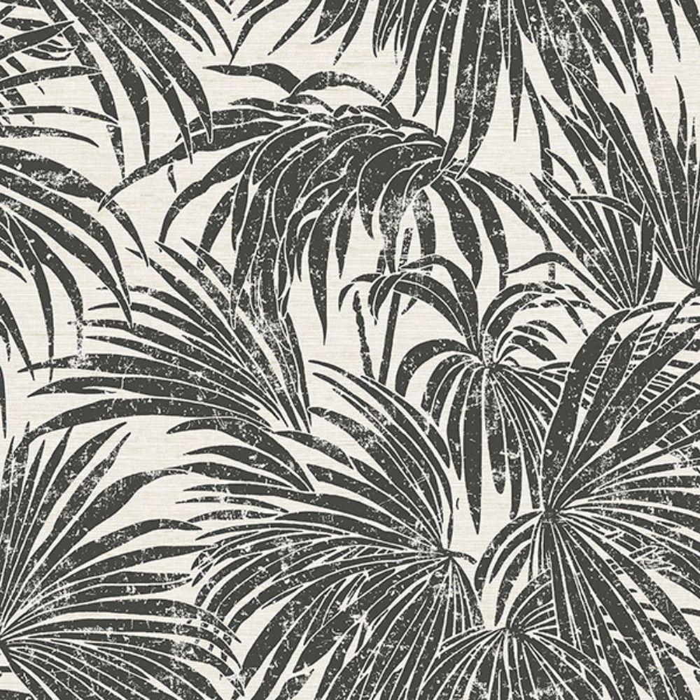 Egypt Sherrod by Brewster ESS6016 Black & White Cassava Palm Peel & Stick Wallpaper
