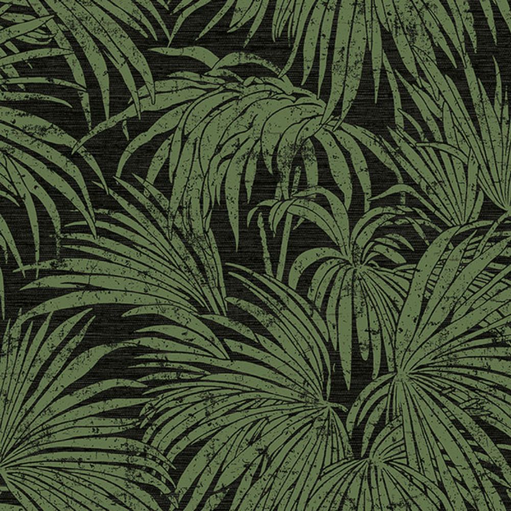 Egypt Sherrod by Brewster ESS6018 Black & Green Cassava Palm Peel & Stick Wallpaper
