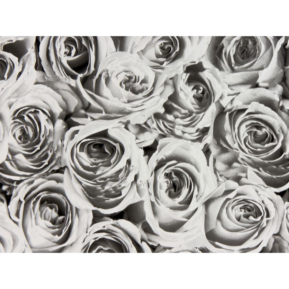 Fablon By Brewster FAB12855 Roses White Grey Adhesive Film