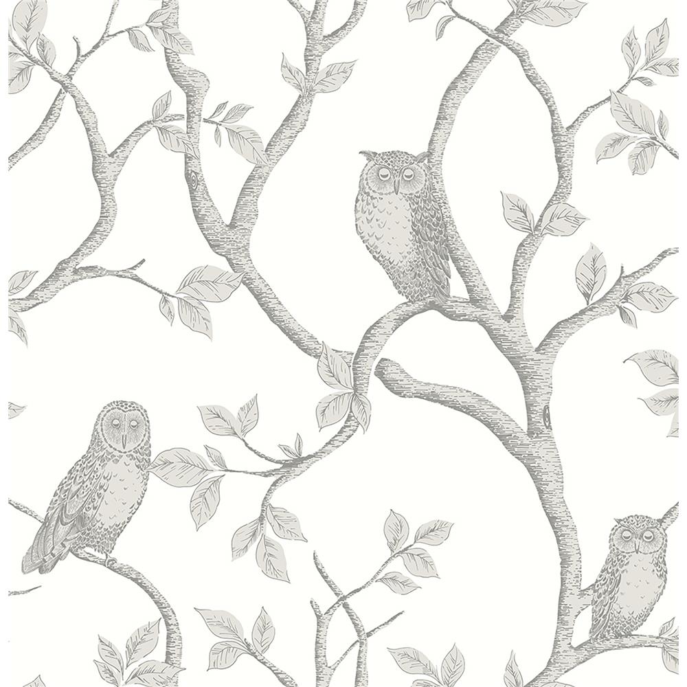 Brewster FD23289 Enchanted Forest Grey Owl & Tree Wallpaper