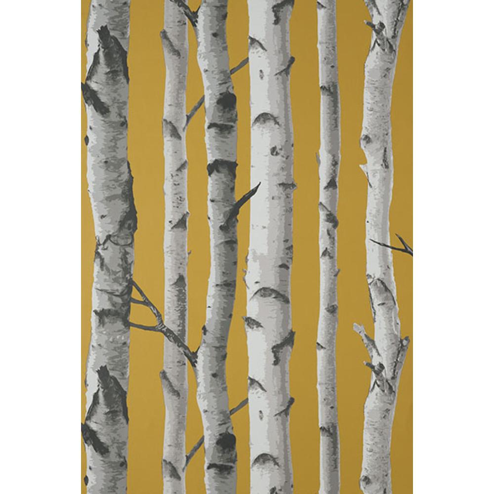 Fine Decor by Brewster FD43290 Chester Mustard Birch Trees Wallpaper