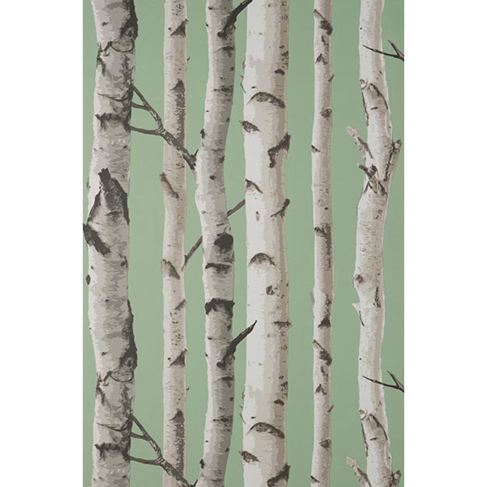 Fine Decor by Brewster FD43291 Chester Sage Birch Trees Wallpaper