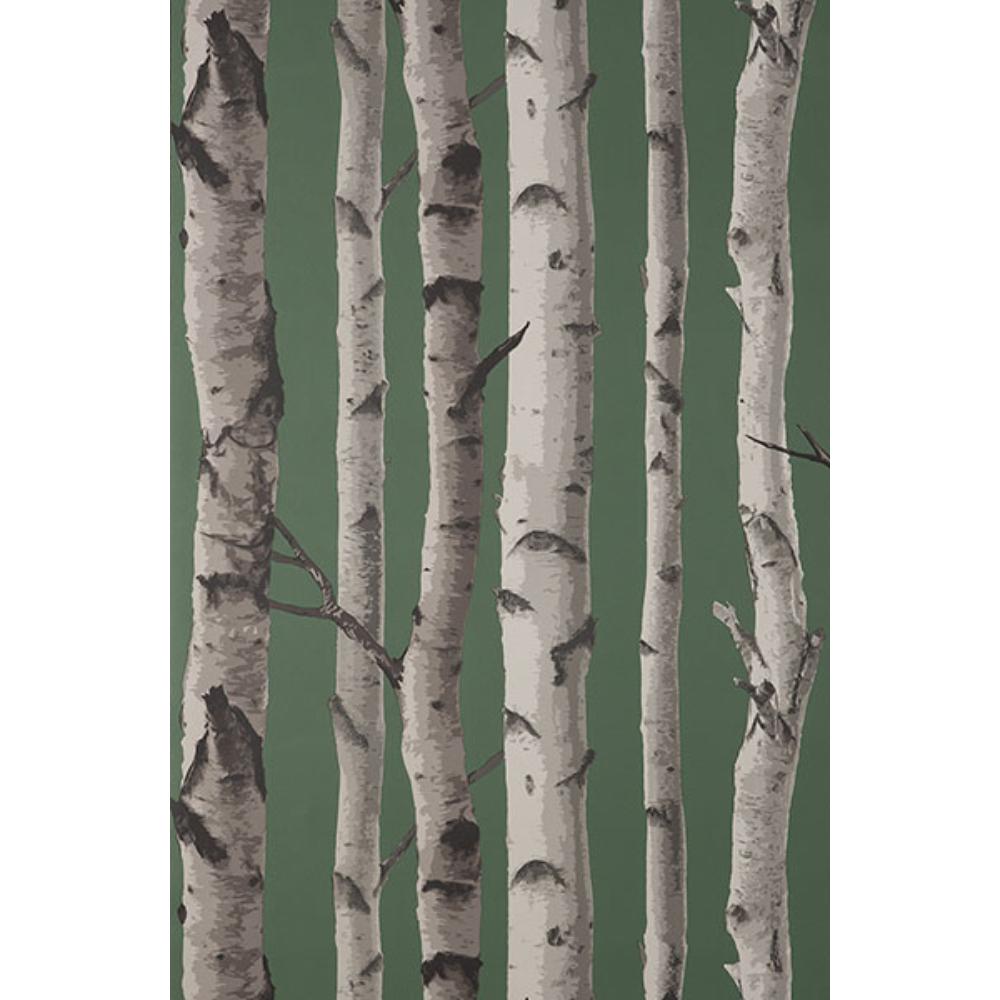 Fine Decor by Brewster FD43292 Chester Dark Green Birch Trees Wallpaper