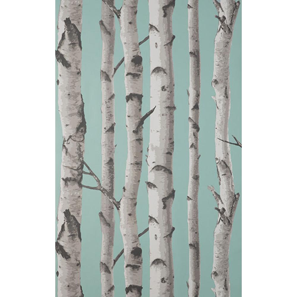 Fine Decor by Brewster FD43293 Chester Aqua Birch Trees Wallpaper