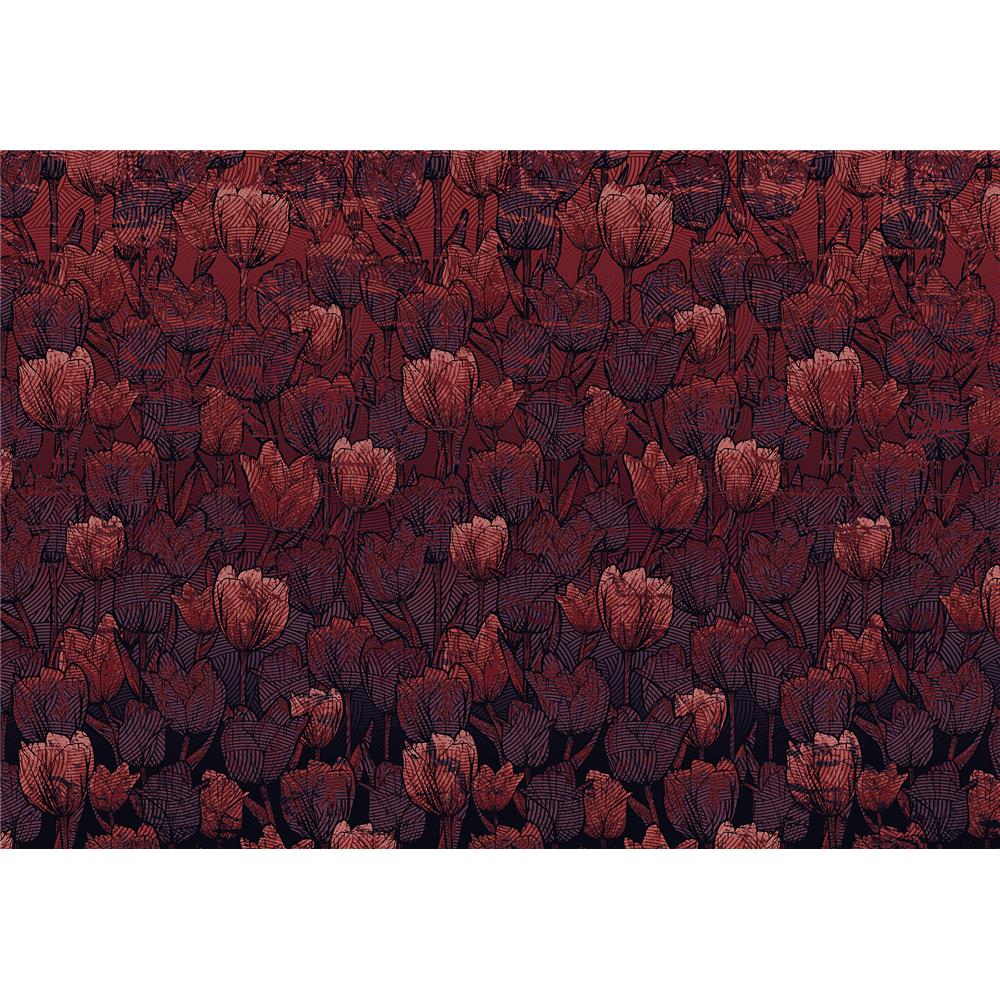 Komar by Brewster HX8-051 Red Tulip Wall Mural