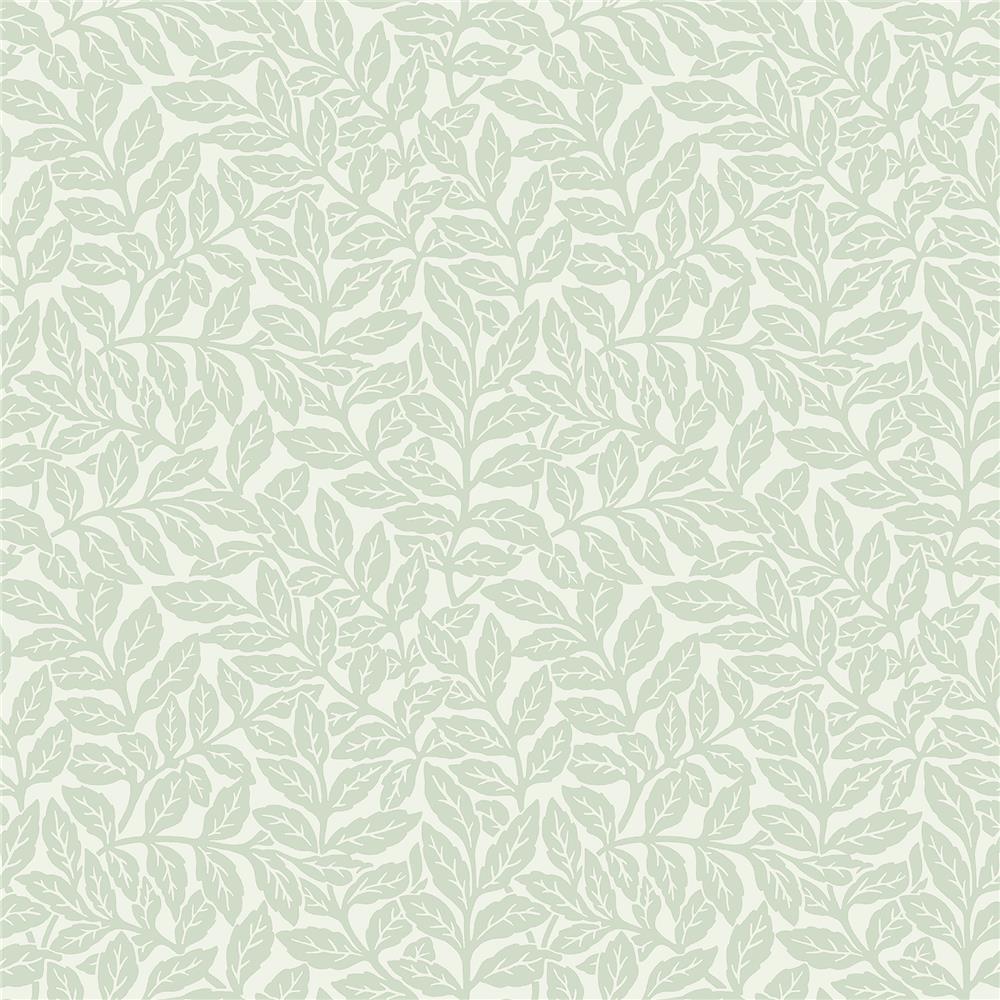 Crown by Brewster M1179 CWV Ashe Light Green Trails Wallpaper