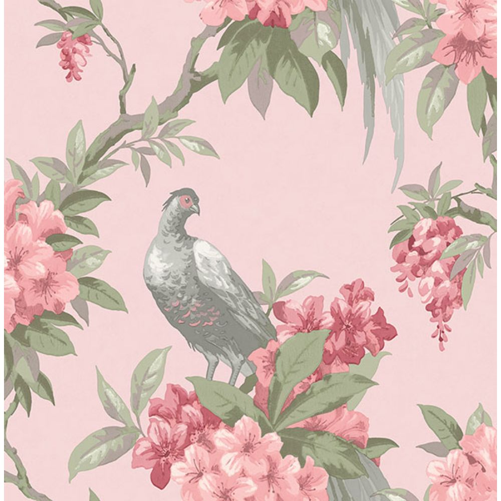 Brewster M1665 Golden Pheasant Pink Floral Wallpaper