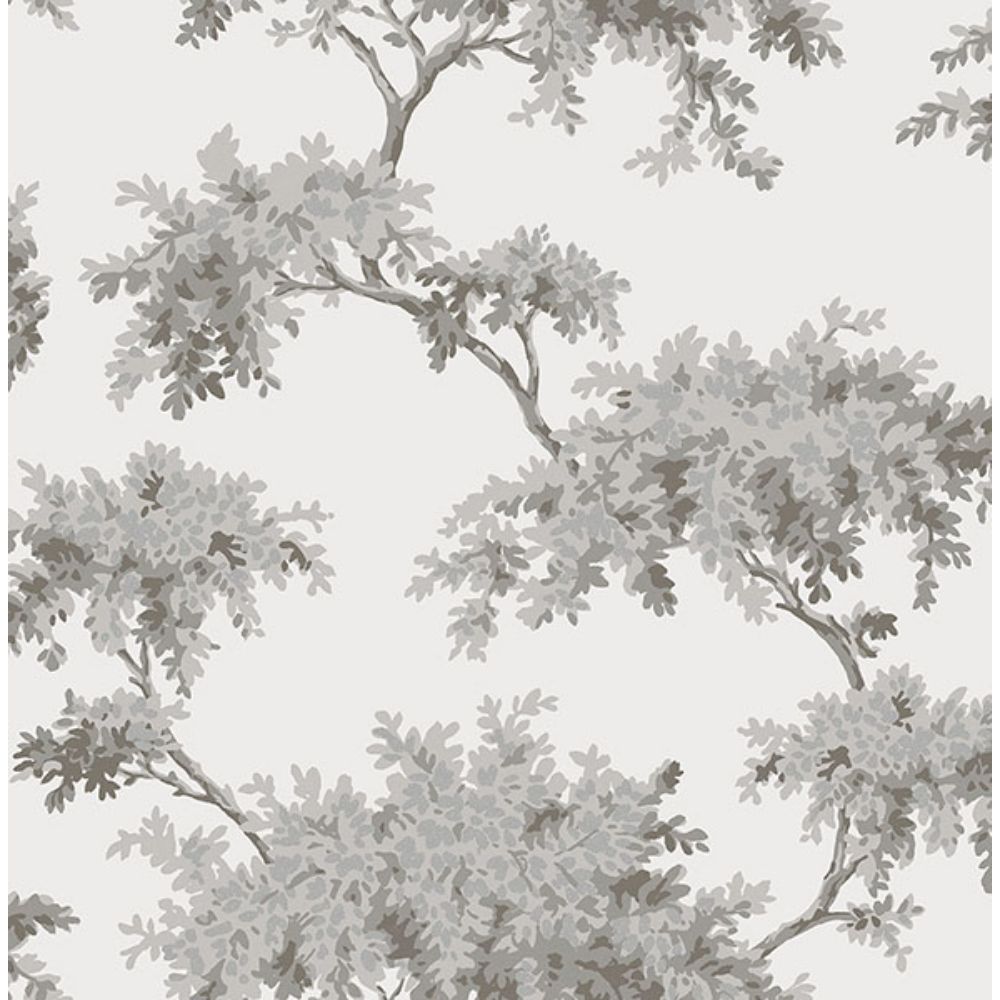 Brewster M1671 Ashdown Grey Tree Wallpaper