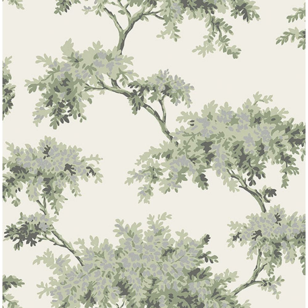 Brewster M1674 Ashdown Sage Tree Wallpaper