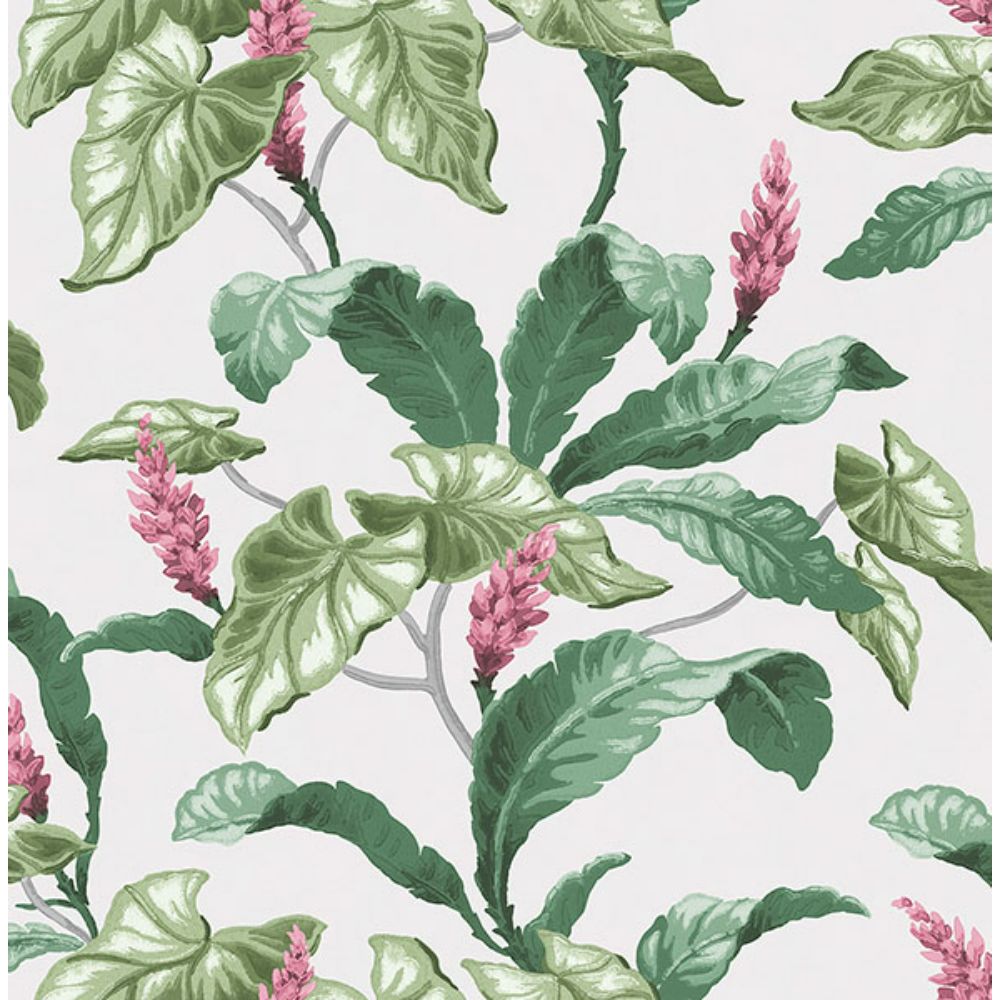 Brewster M1692 Meridian Parade Green Tropical Leaves Wallpaper