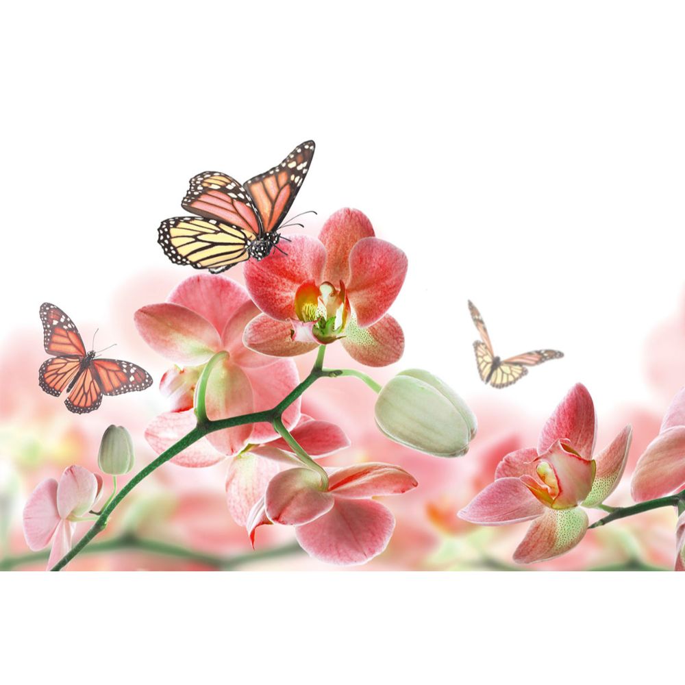 Dimex by Brewster MS-5-0146 Orchids and Butterfly Wall Mural