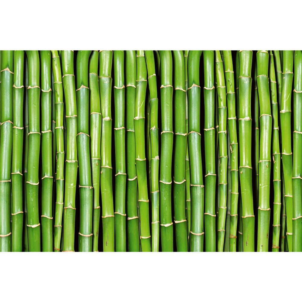 Dimex by Brewster MS-5-0165 Bamboo Wall Mural