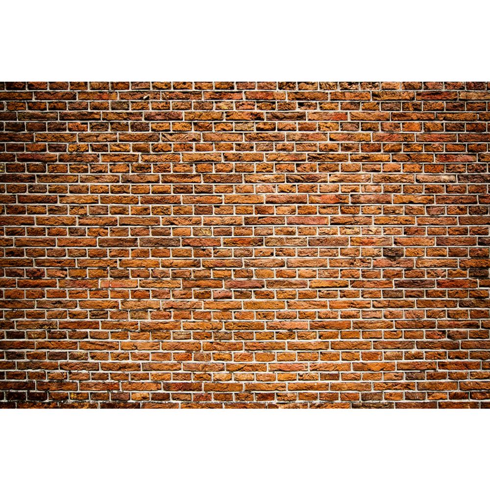 Dimex by Brewster MS-5-0167 Old Brick Wall Mural