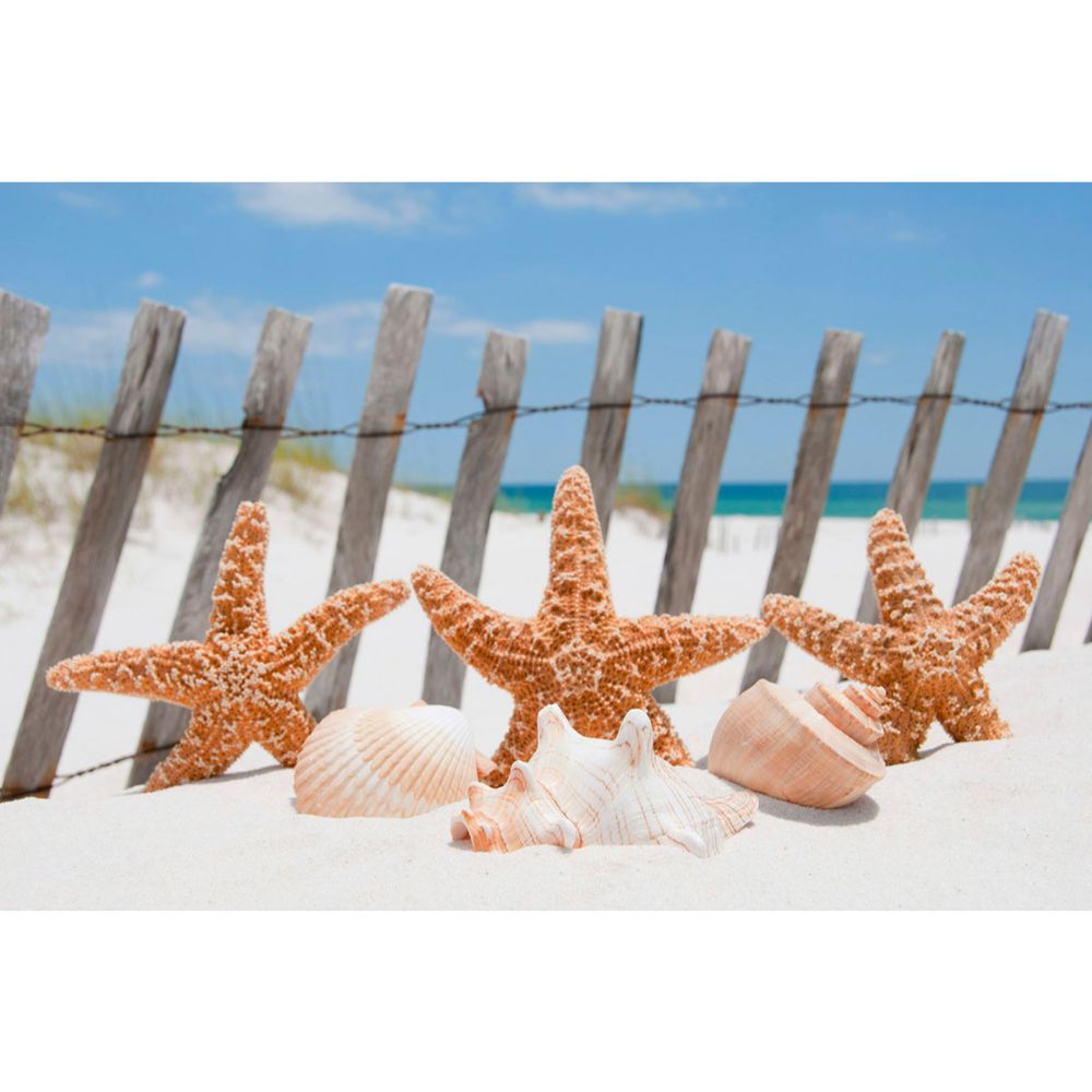 Dimex by Brewster MS-5-0206 Starfish Wall Mural