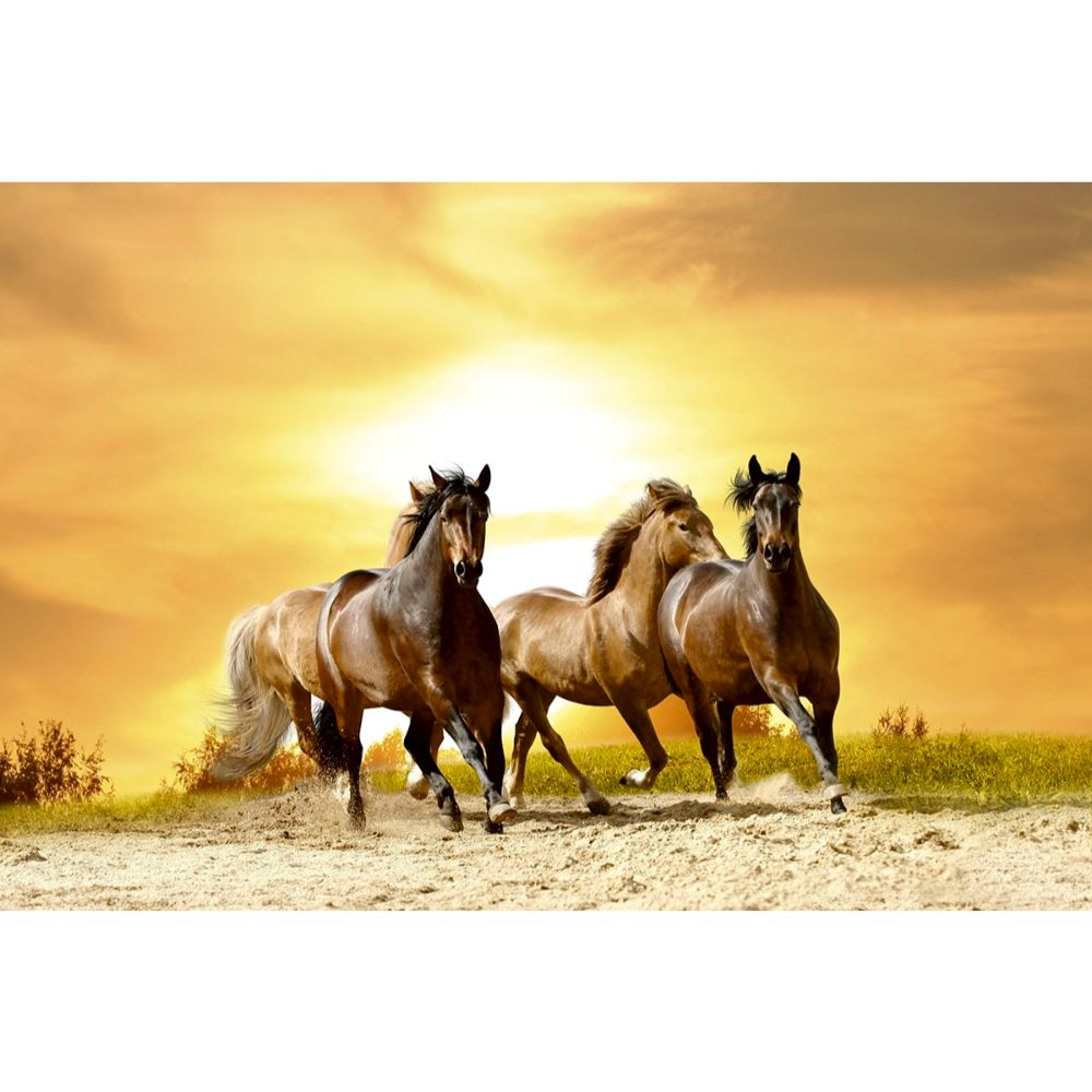 Dimex by Brewster MS-5-0227 Horses in Sunset Wall Mural