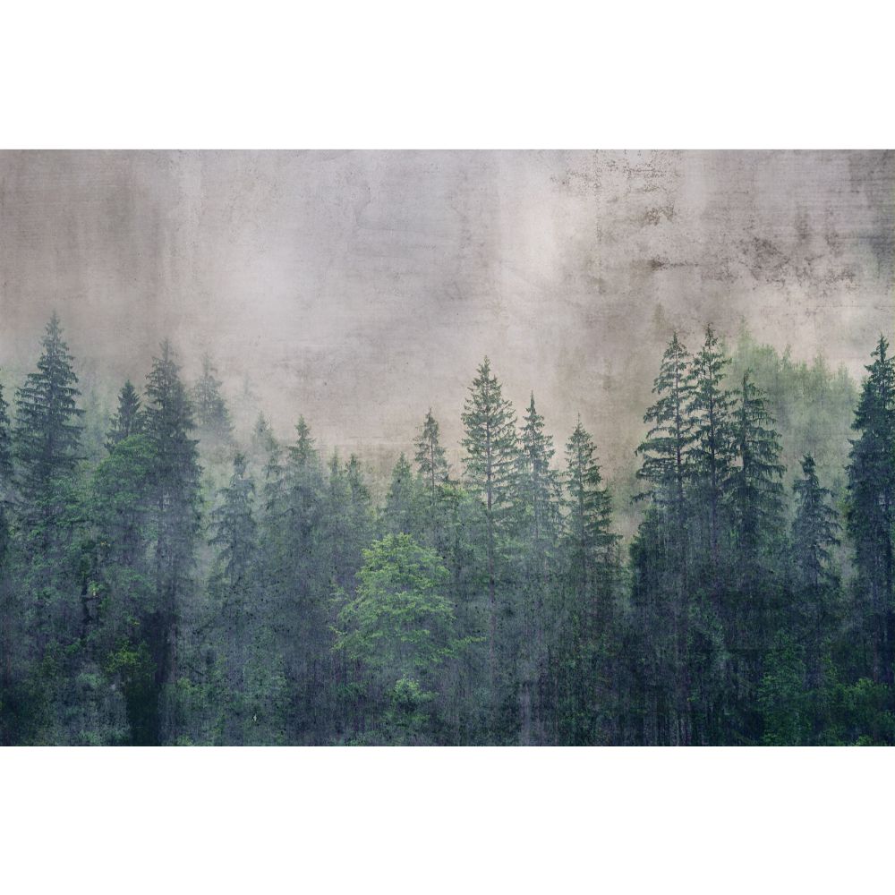 Dimex By Brewster MS-5-0353 Forest Abstract Wall Mural in Greens