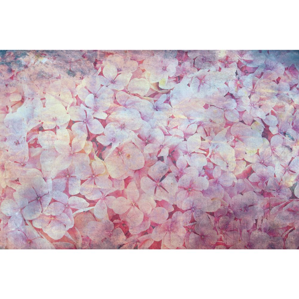 Dimex By Brewster MS-5-0354 Abstract Blooms Wall Mural in Pinks