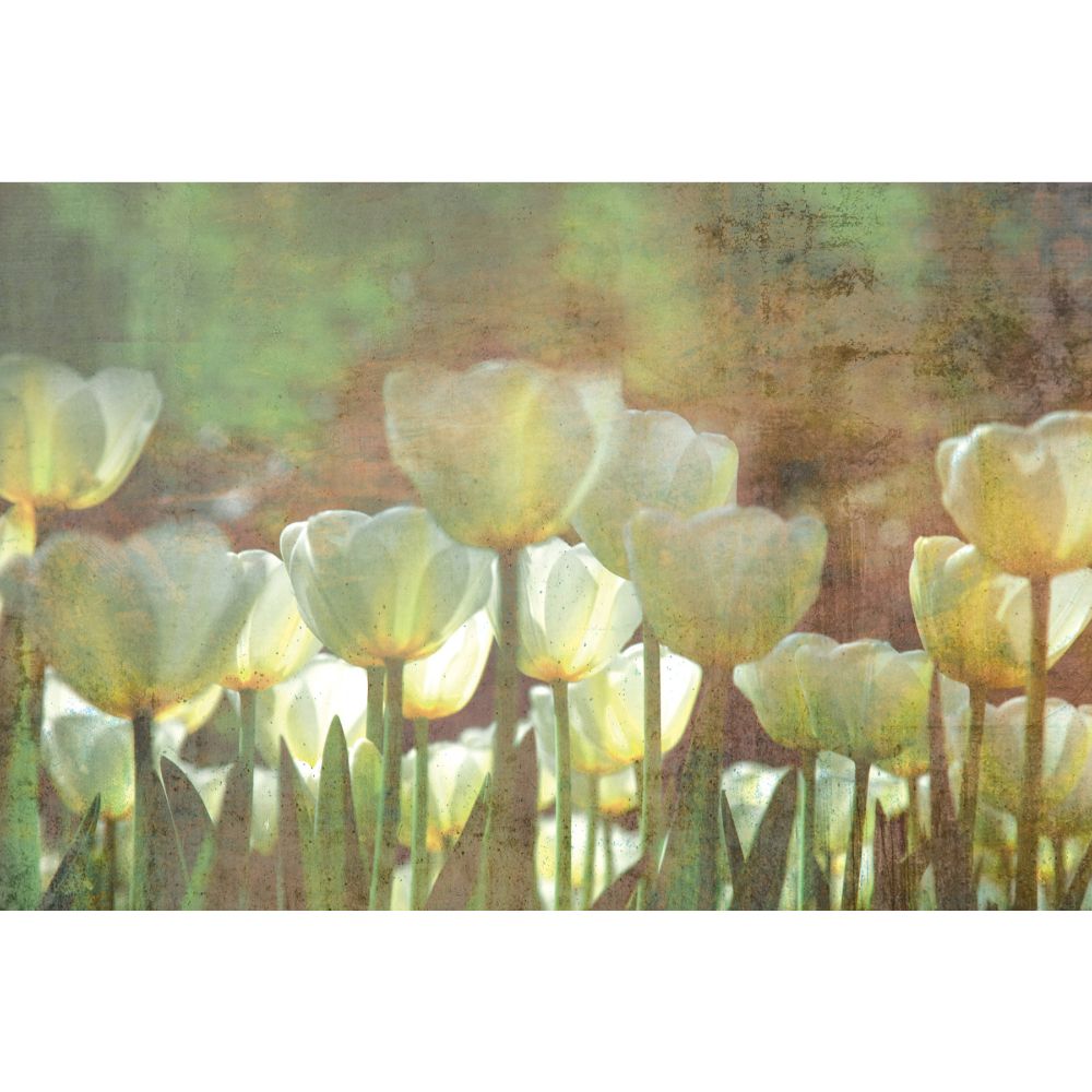 Dimex By Brewster MS-5-0385 White Tulips Abstract Wall Mural in Greens