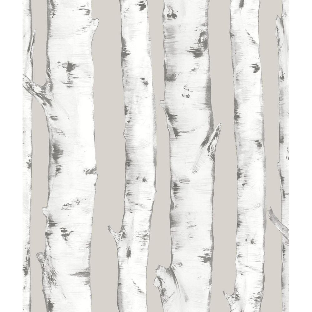 InHome by Brewster NH3061 Downy Birch Peel & Stick Wallpaper