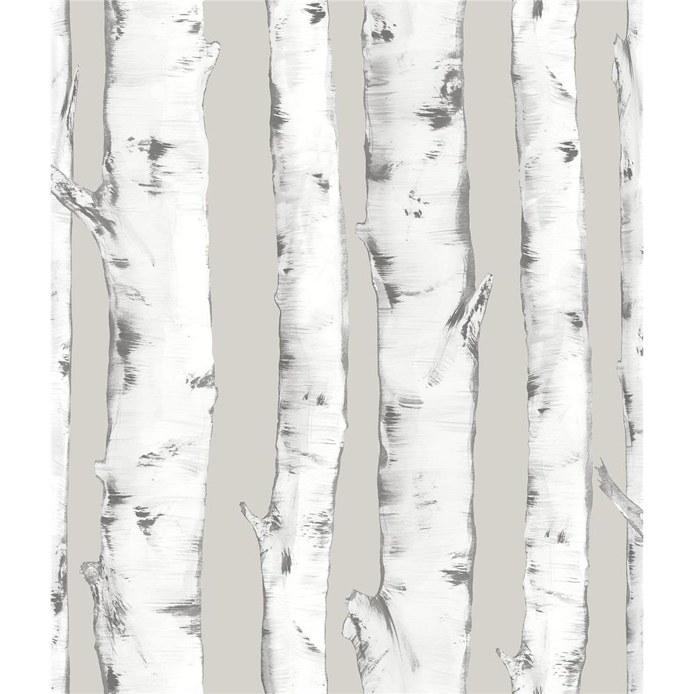 InHome by Brewster NHS3196 Downy Birch Peel & Stick Wallpaper