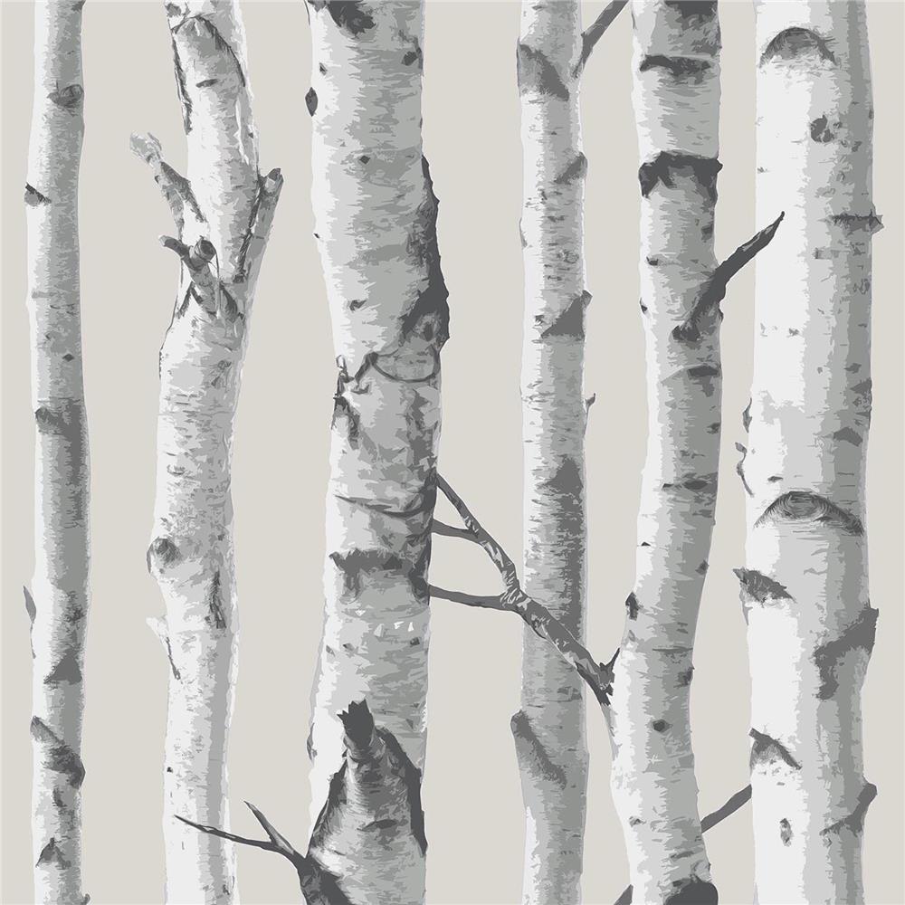 NuWallpaper by Brewster NU1650 Birch Tree Peel And Stick Wallpaper