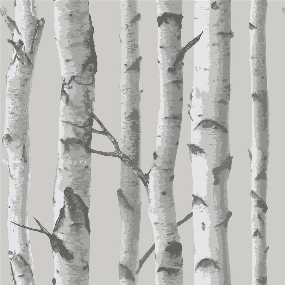 NuWallpaper by Brewster NU1694 Mountain Birch Grey Peel and Stick Wallpaper 