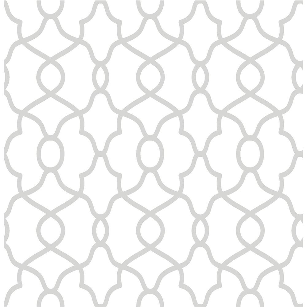 NuWallpaper by Brewster NU2877 Silver Clearly Cool Peel & Stick Wallpaper