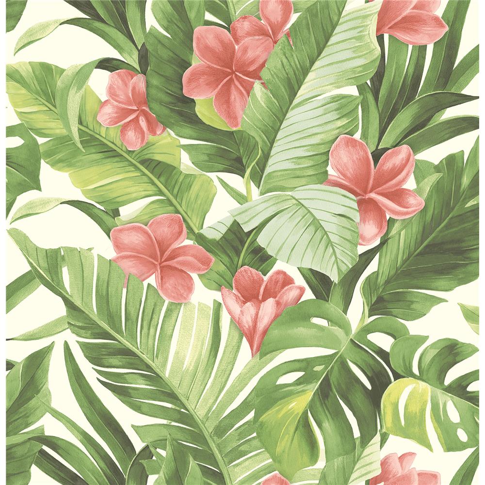NuWallpaper by Brewster NU2926 Tropical Paradise Peel & Stick Wallpaper