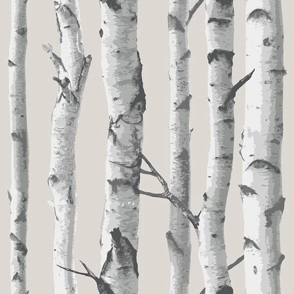 NuWallpaper by Brewster NU3128 Birch Tree Peel & Stick Wallpaper