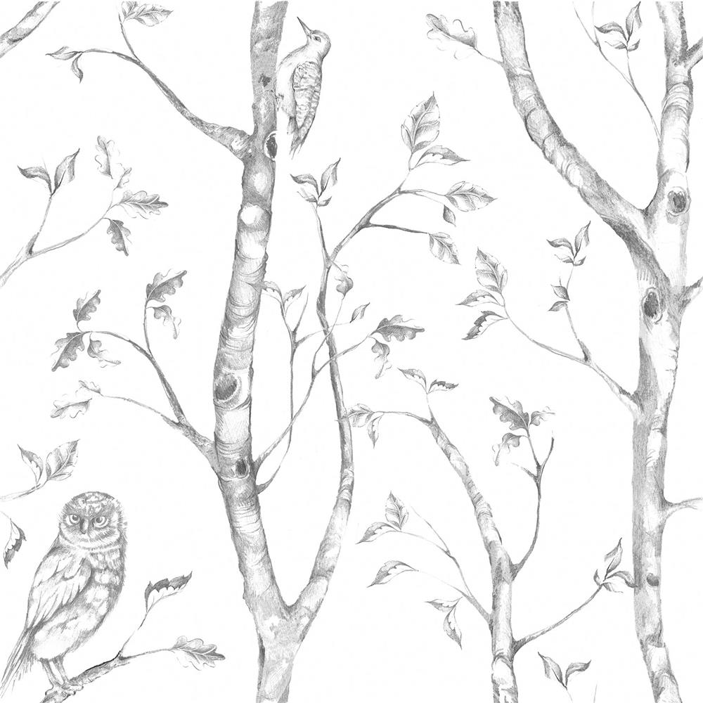 NuWallpaper by Brewster NUS1412 Grey Woods Peel & Stick Wallpaper