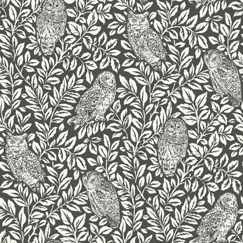 NuWallpaper By Brewster NUS3625 Charcoal Sleepy Owls Peel & Stick Wallpaper