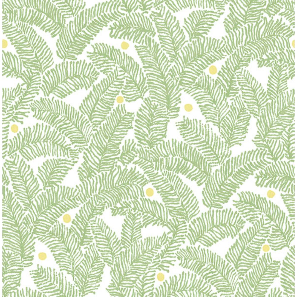 NuWallpaper by Brewster NUS4159 Green Fernanda Peel & Stick Wallpaper