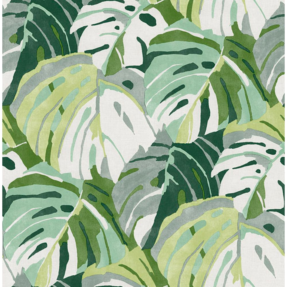 NuWallpaper by Brewster NUS4162 Green Adansonii Peel & Stick Wallpaper