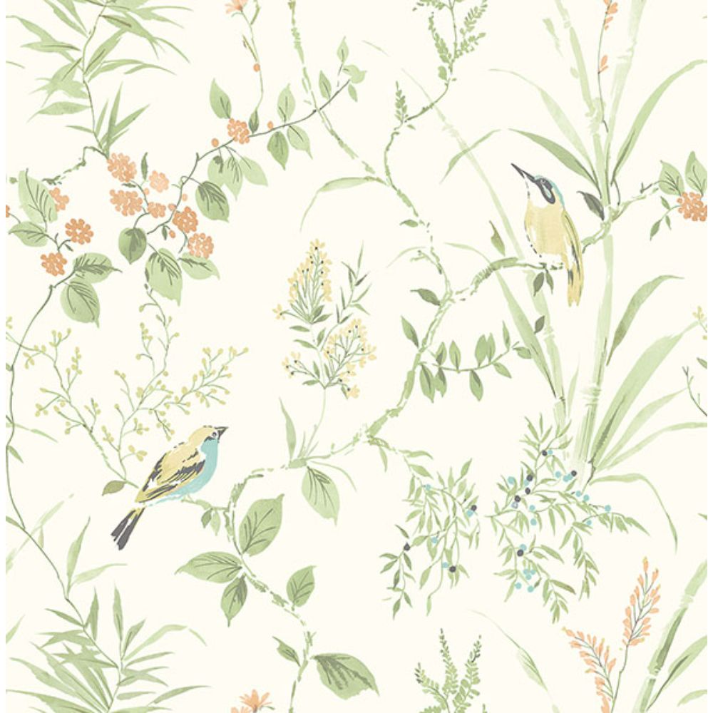 NuWallpaper by Brewster NUS4470 Sage Songbird Peel & Stick Wallpaper
