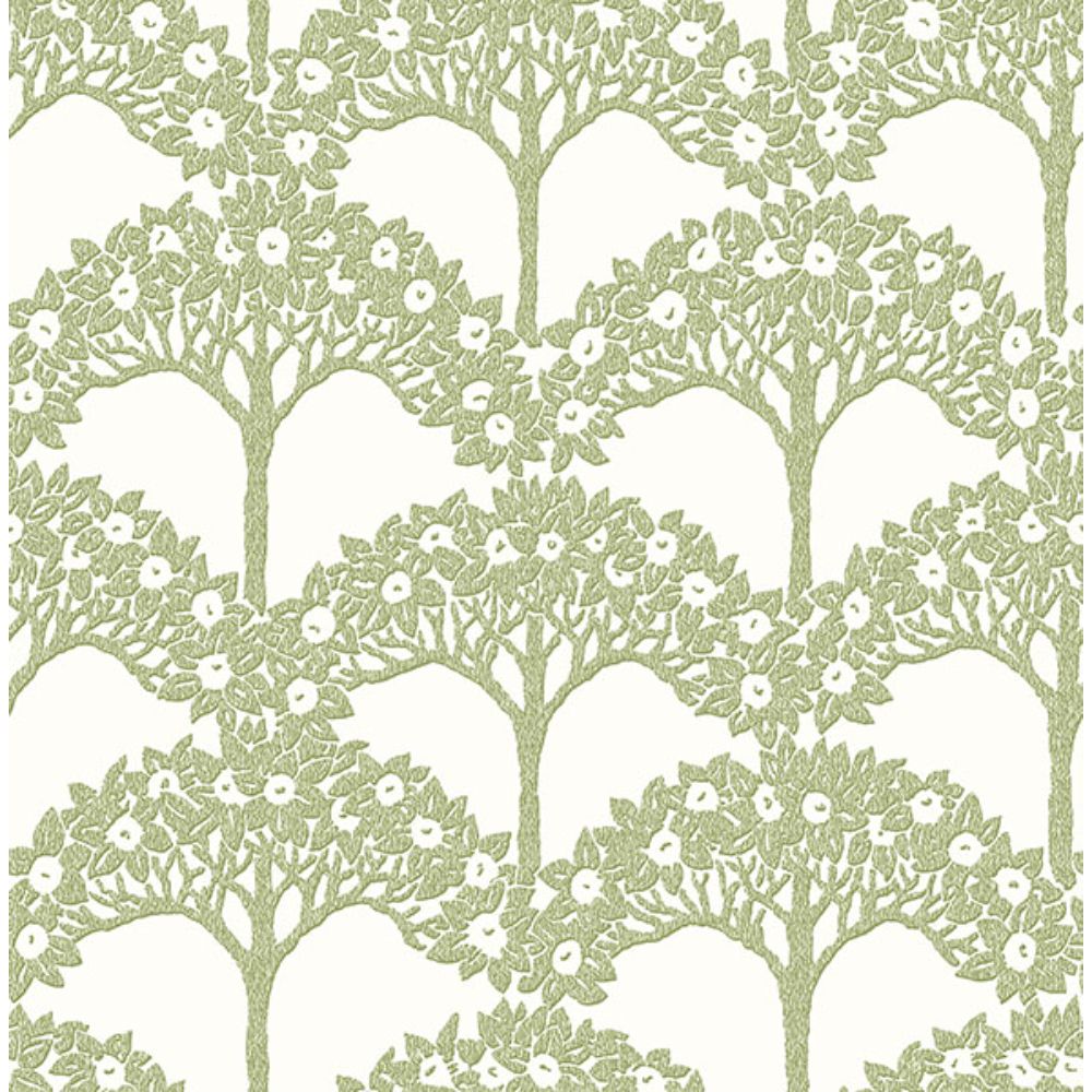 NuWallpaper by Brewster NUS4987 Green Finley Peel & Stick Wallpaper