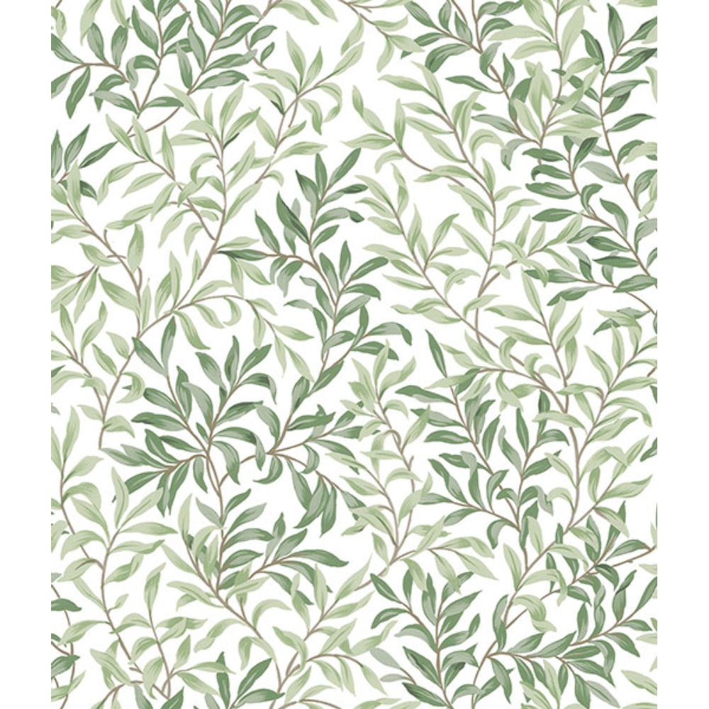 NuWallpaper by Brewster NUS6101 Herb Green Terrace Vines Peel & Stick Wallpaper