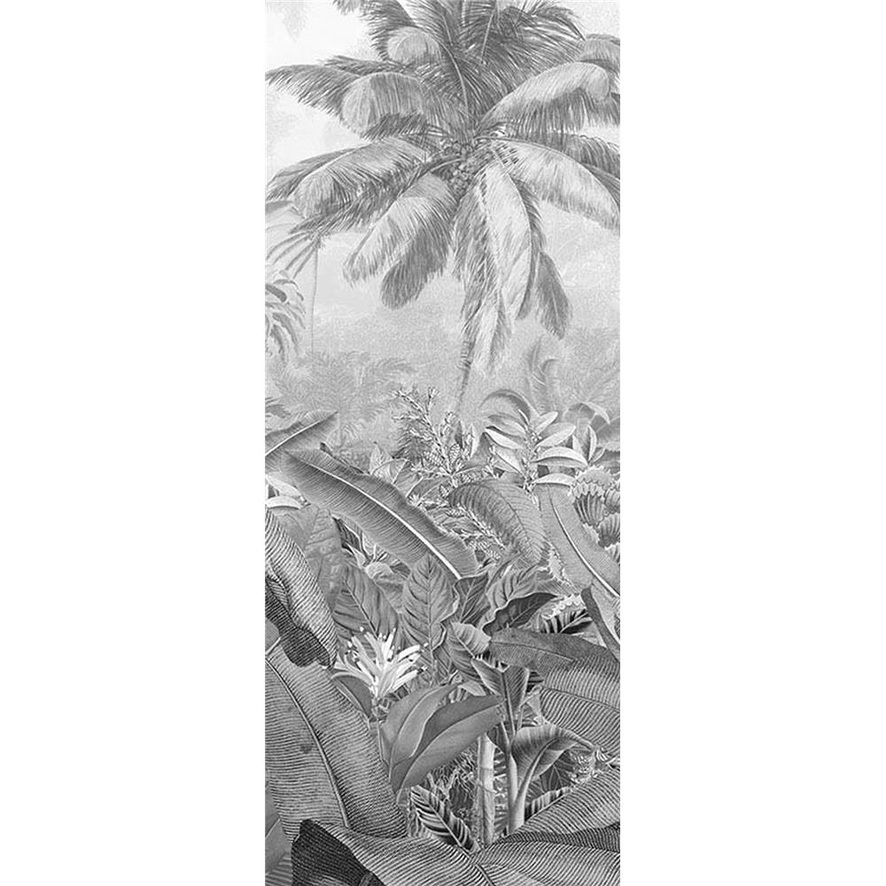 Komar by Brewster P013-VD1 Amazonia Black and White Wall Mural