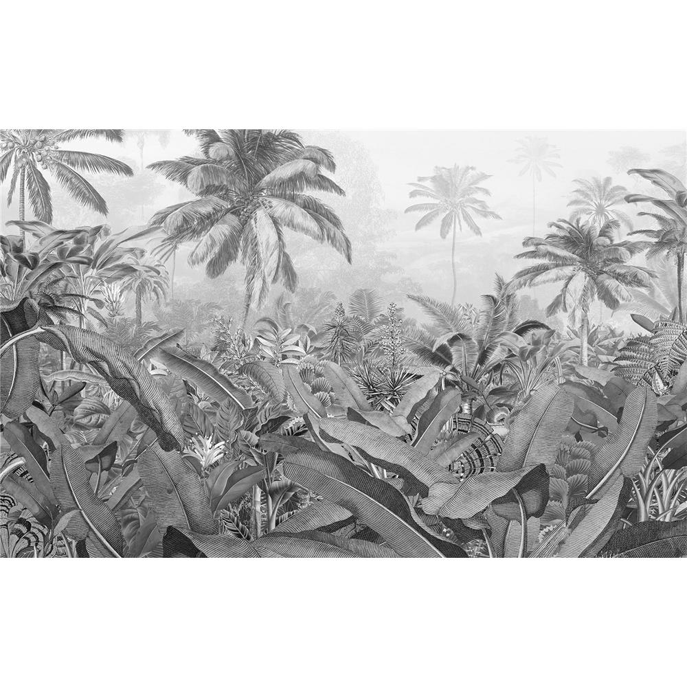 Komar by Brewster P013-VD4 Amazonia Black and White Wall Mural