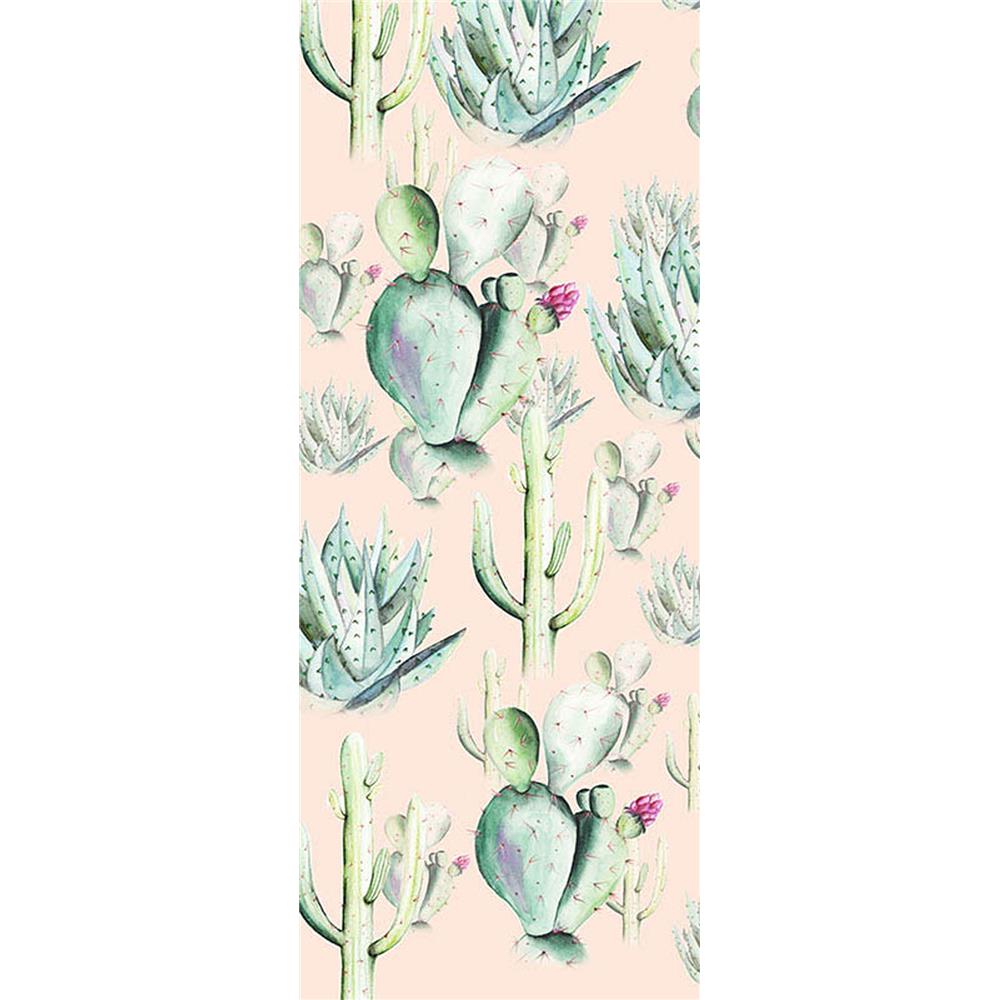 Komar by Brewster P045A-VD1 Cactus Rose Wall Mural