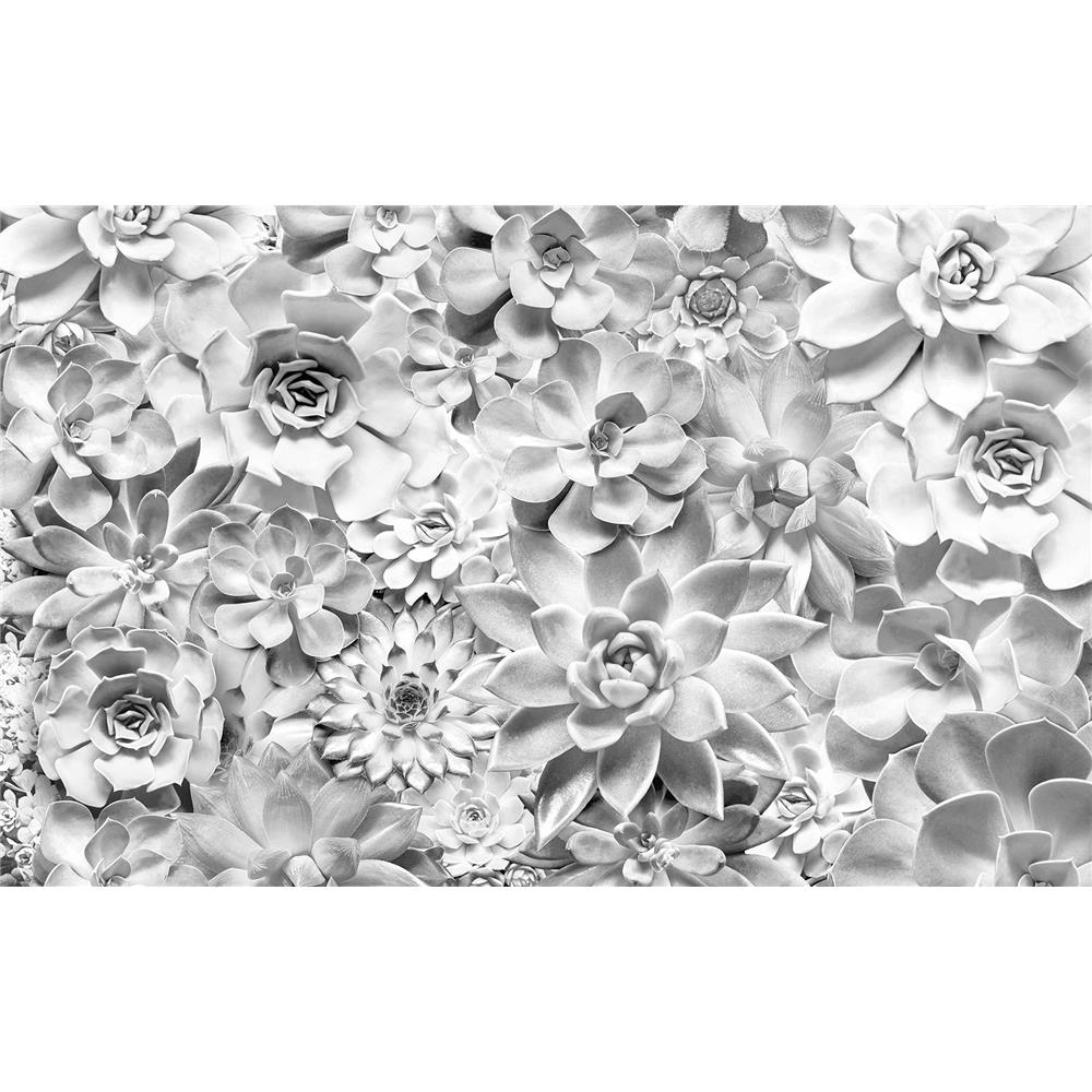 Komar by Brewster P962-VD4 White Floral Wall Mural