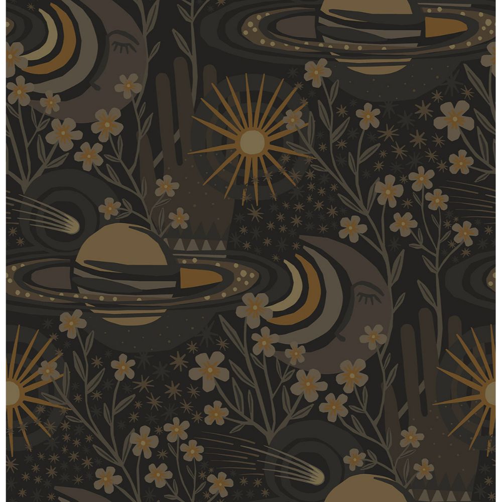 Pip & Lo by Brewster PLS4210 Black Ethereal Cosmos Peel & Stick Wallpaper